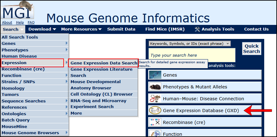 Search Menu GXD QF Screen Shot