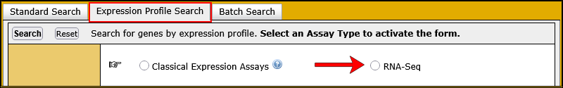 Blank Expression Profile Form