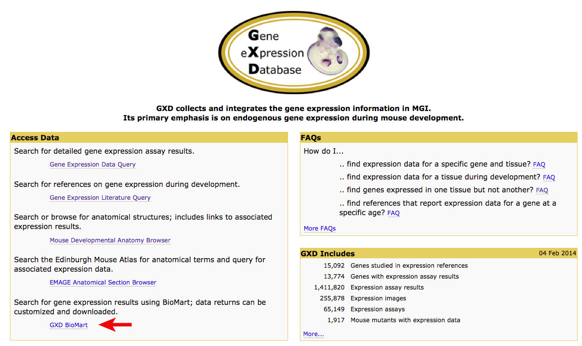 GXD page highlight BioMart