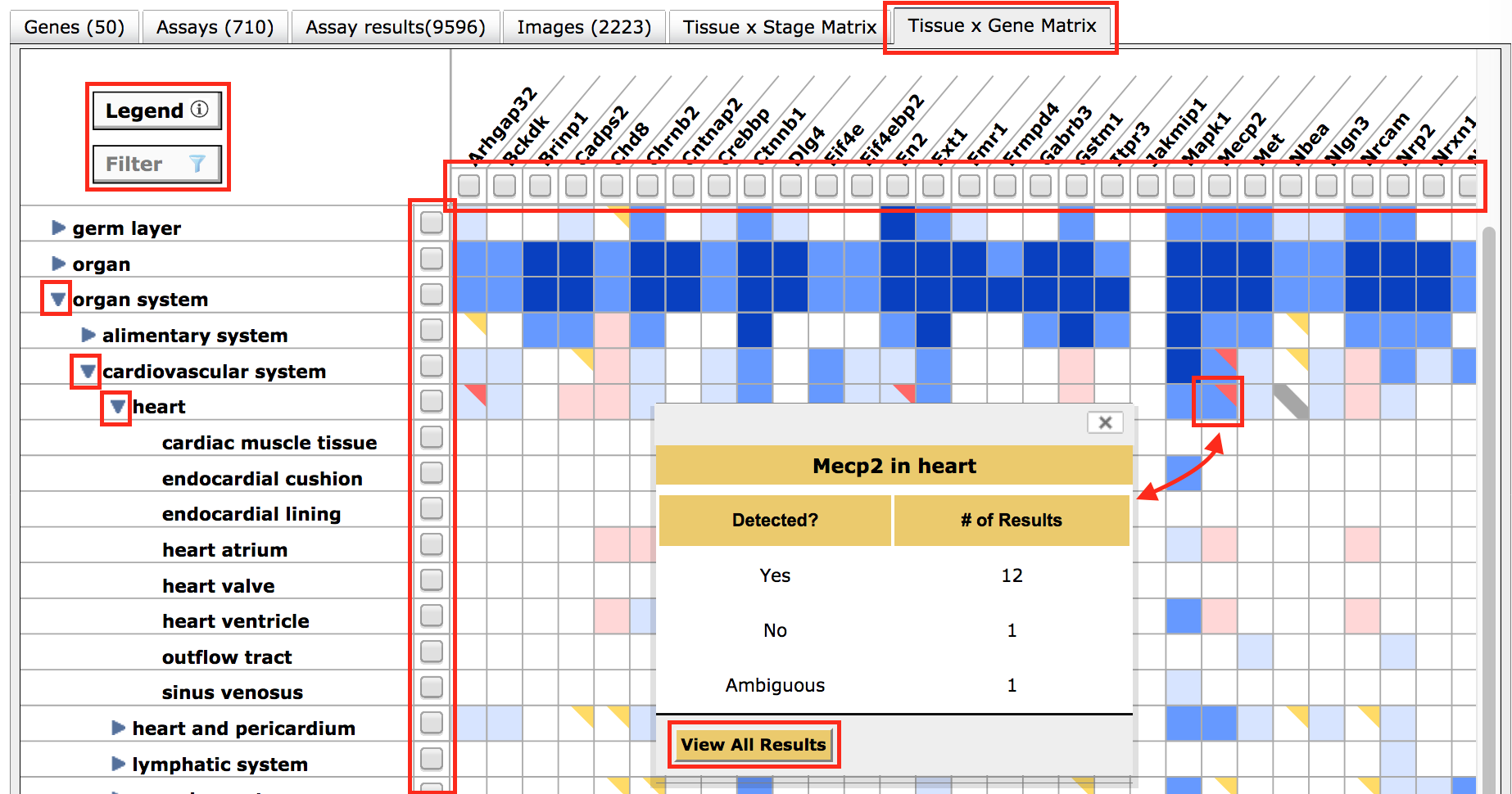 Tissue x Stages tab