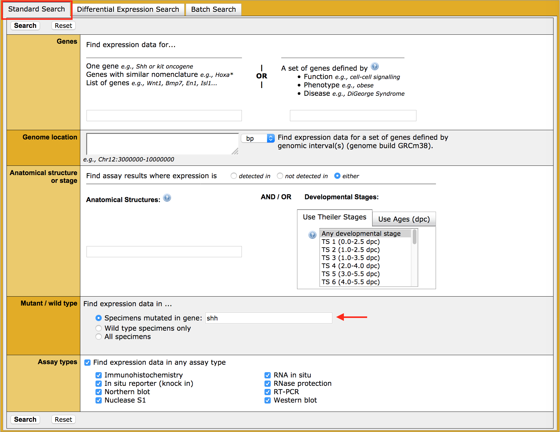 GXD query mutant