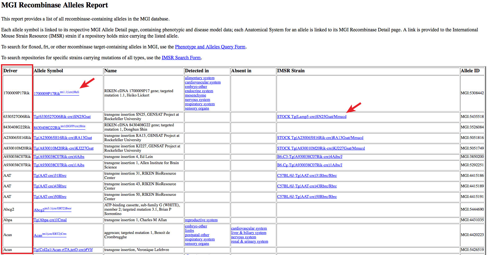 HTML report