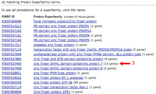PIRSF Search Results Screen Shot