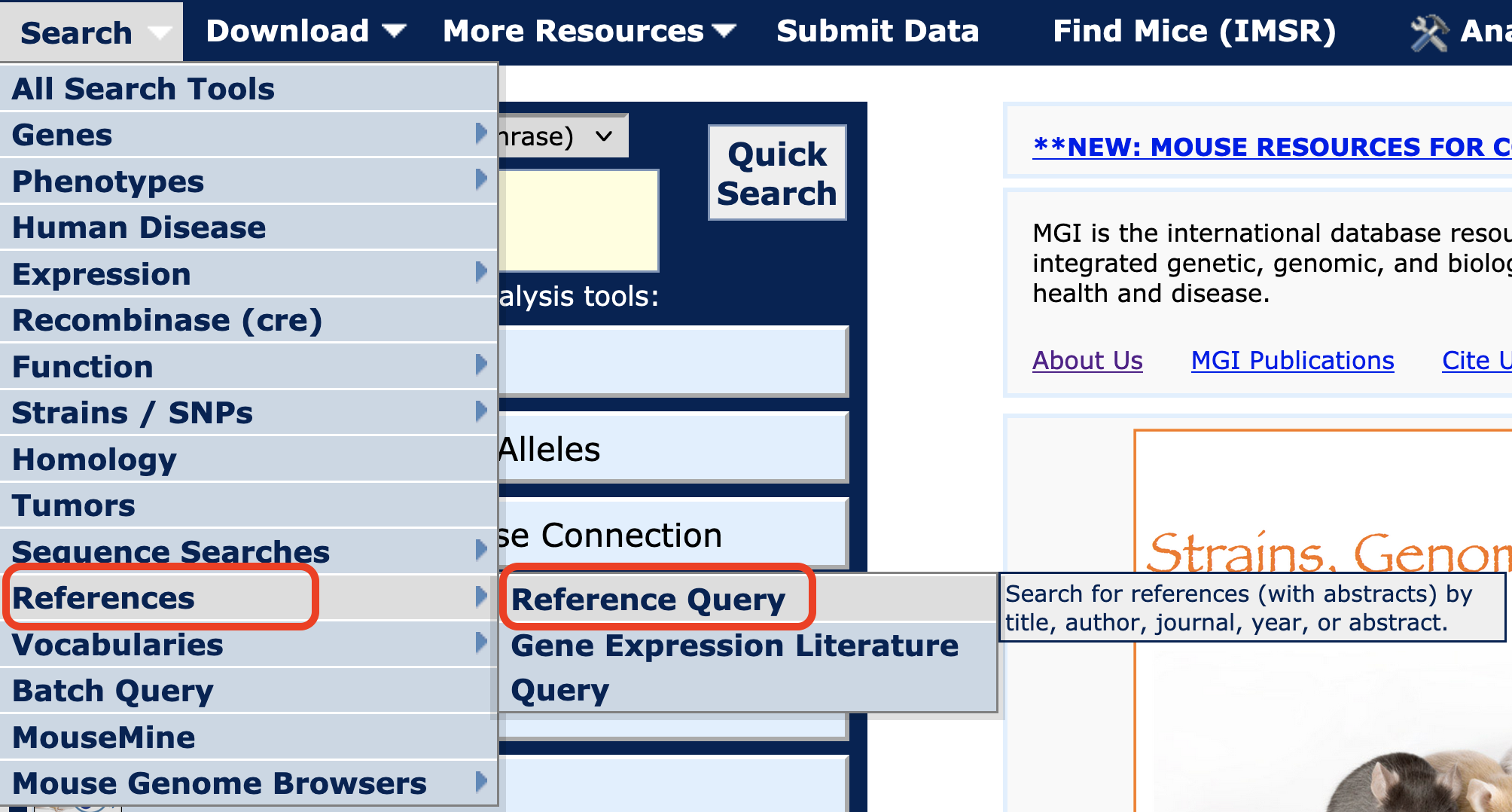 Search Menu, References Query Form