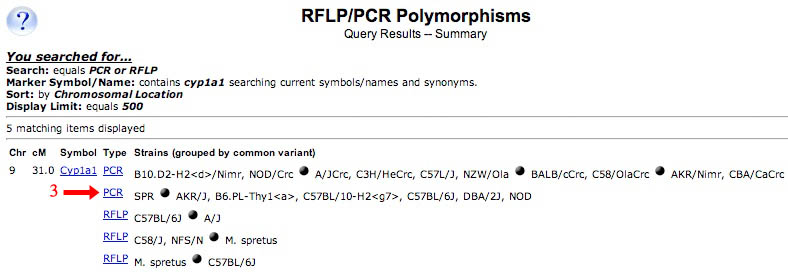 RFLP/PCR Search Results