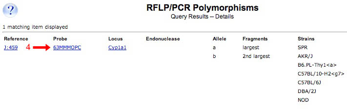 RFLP Detail
