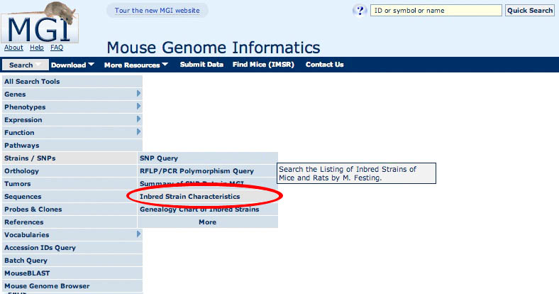 Search Menu Festing's Screen Shot