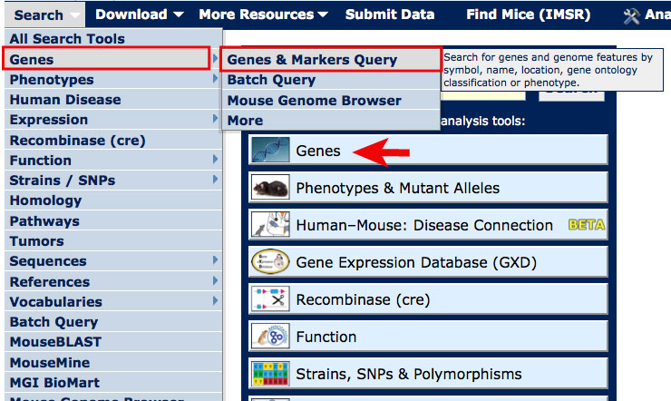 Search Menu G&M Query Form