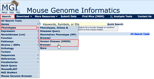 Search Menu OMIM