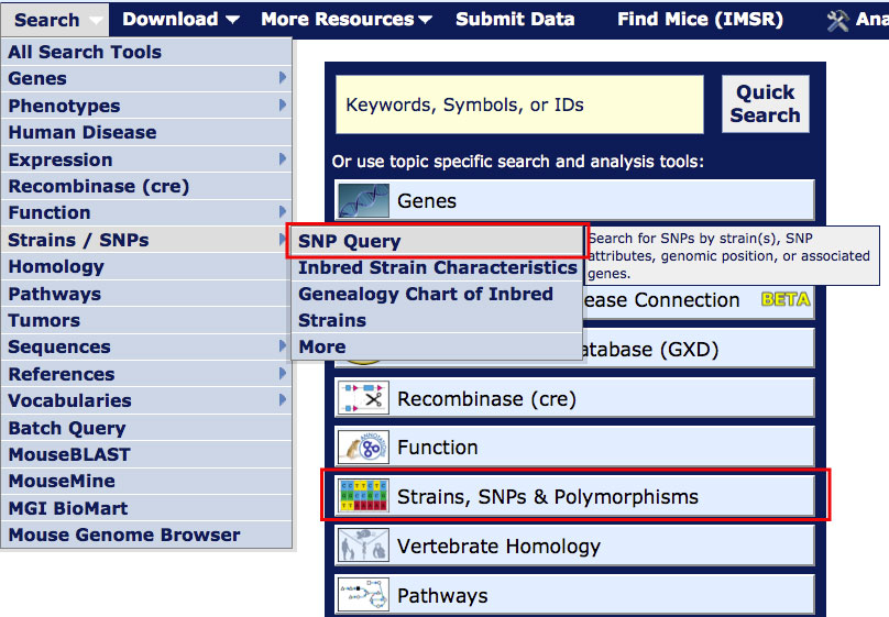 Search Menu SNP QF