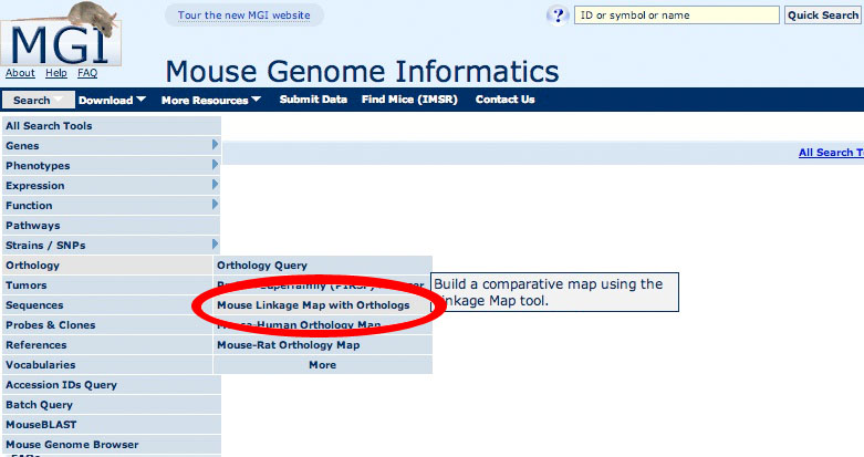 Search Menu Linkage Map