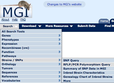 Search Menu RFLP/PCR QF
