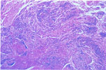Figure 132