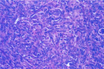 Figure 234