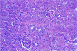 Figure 254
