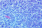 Figure 293