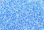 Figure 295
