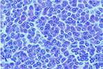 Figure 299