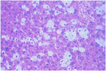 Figure 58