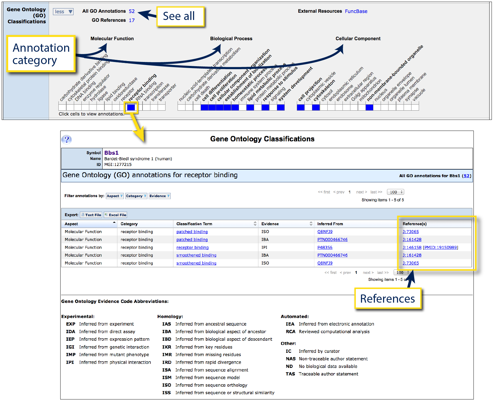 GO and function for Bbs1