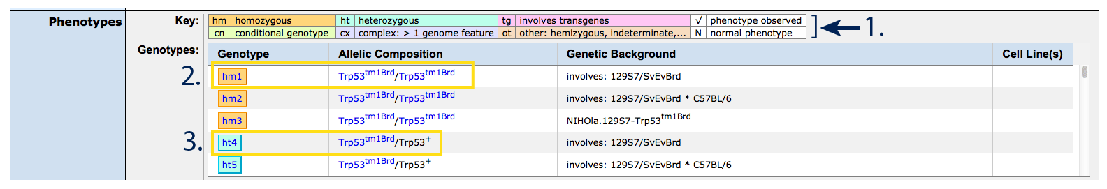 genotypes table for Trp53tm1Brd