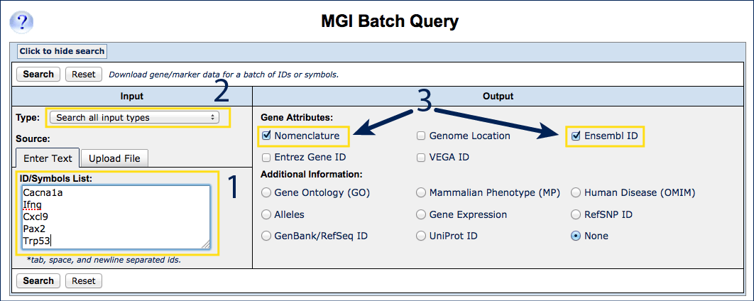 Batch Query search