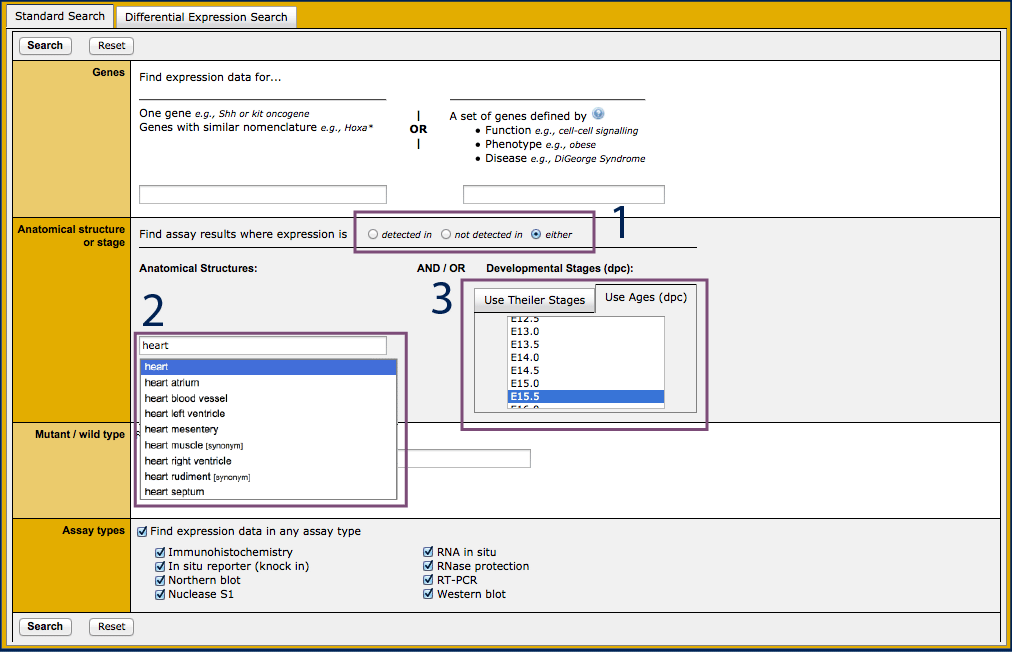 Batch Query search