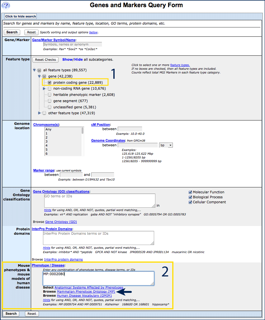 Genes and Markers query form