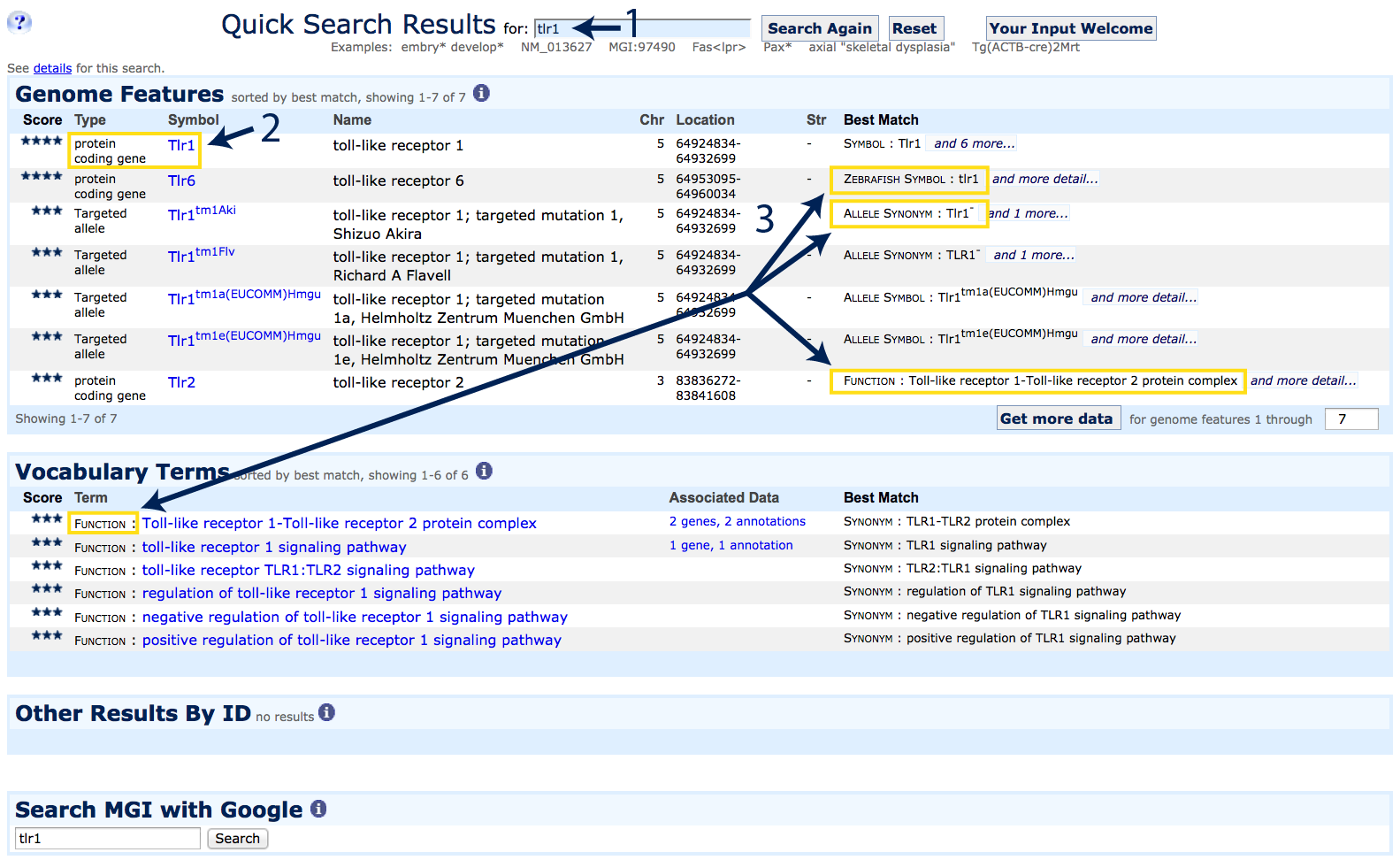 quick search matches for Tlr1