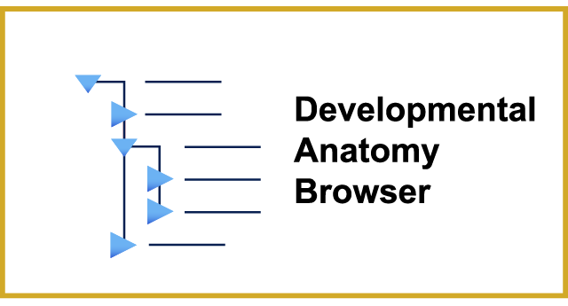 GXD Anatomy Browser Link