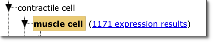 CellExpressionResultsLink