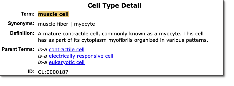 CellTypeDetail
