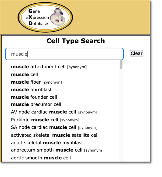 CellTypeSearch1