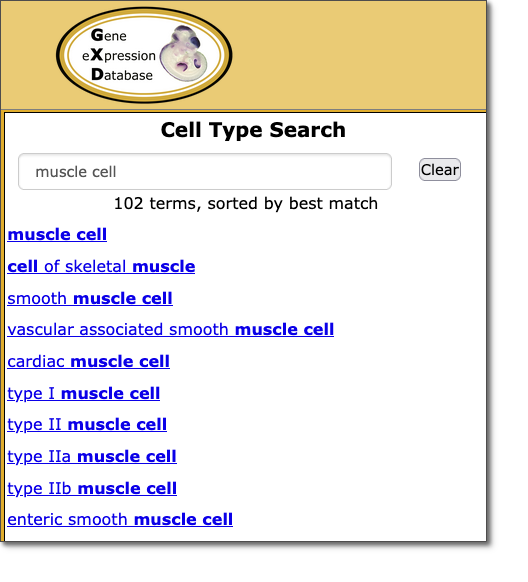 CellTypeSearch2