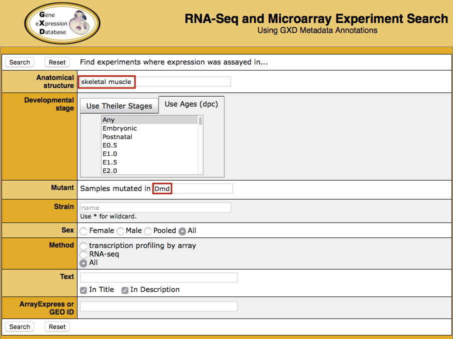 RNA-Seq and Microarray Experiment Search