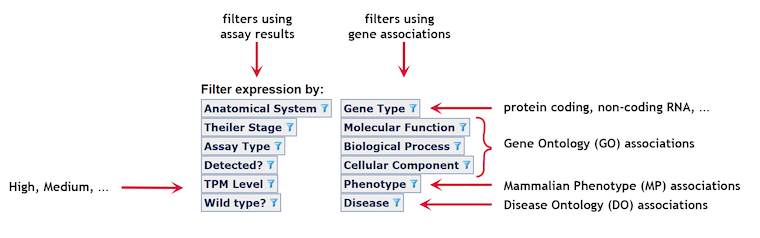 New Results Filters