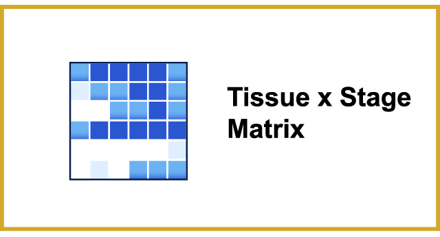 GXD Tissue Matrix