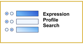 Expression Profile Search Tile