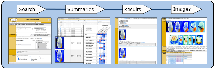 Visual Example