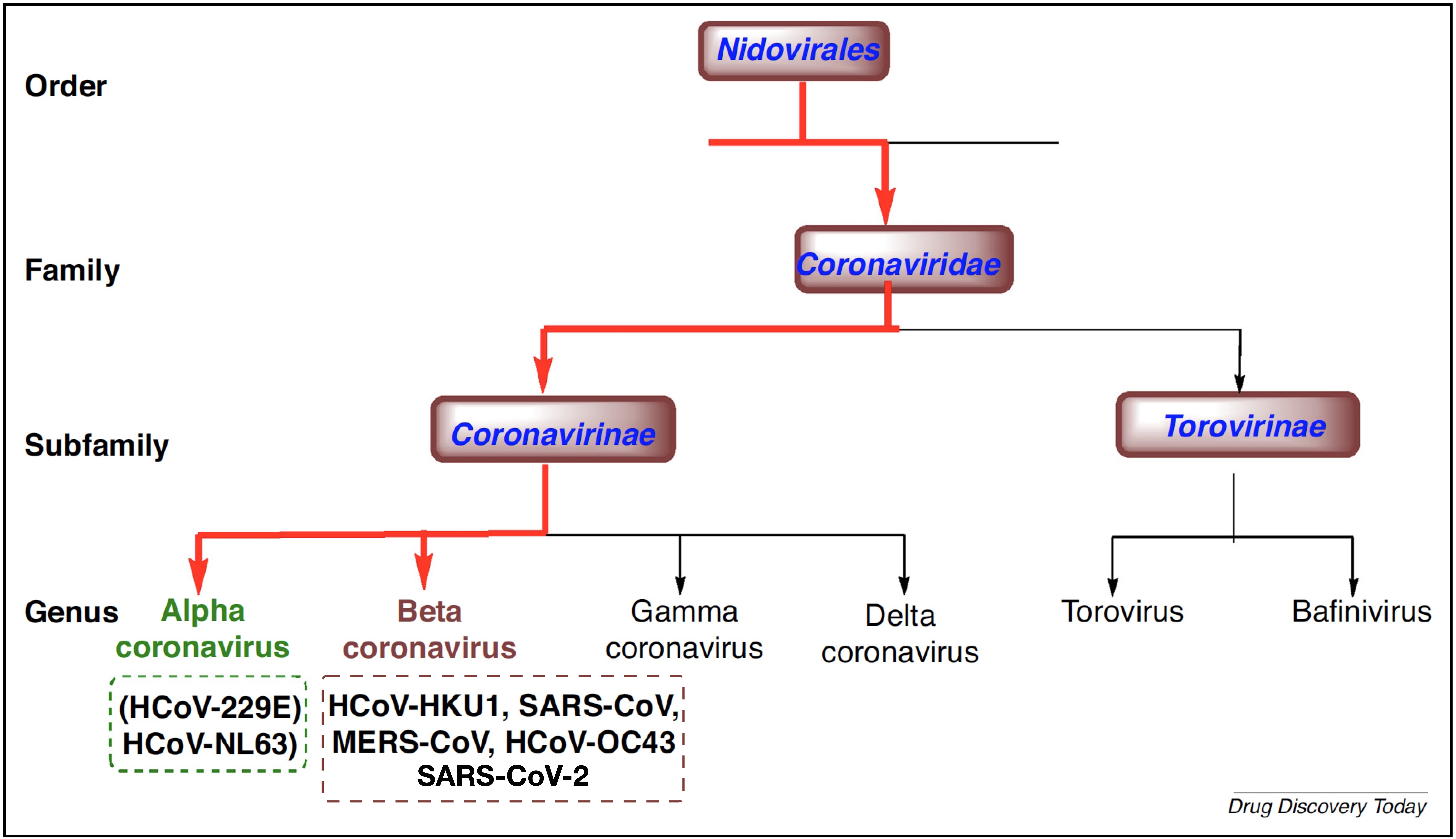 coronavirus tree