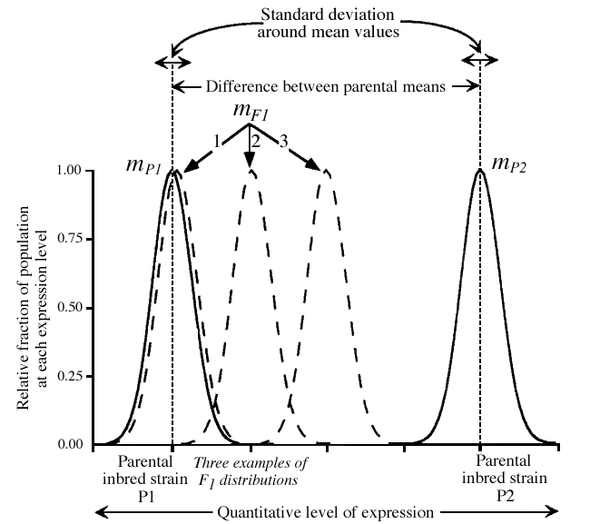 Trait Distribution Explained Figure 9.18 - Idealized Distributions for the Expression of a ...