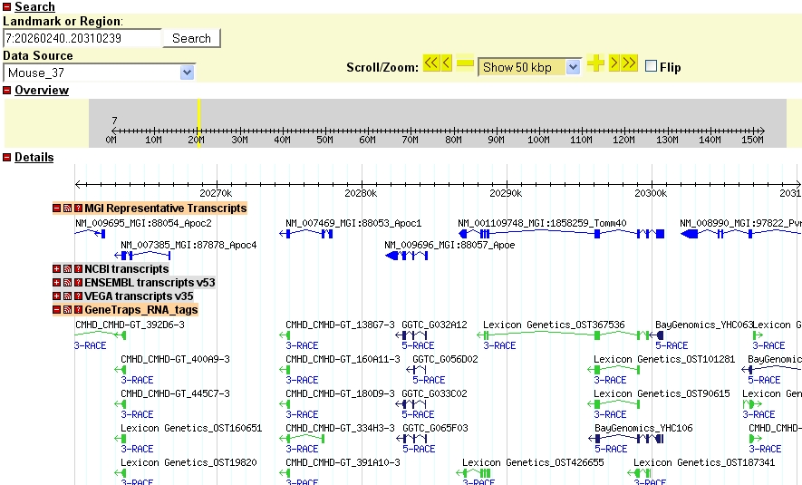 genome context